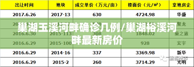 巢湖玉溪河畔确诊几例/巢湖裕溪河畔最新房价