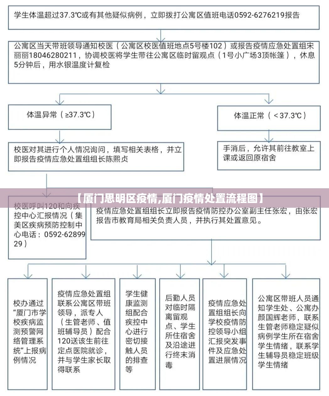 【厦门思明区疫情,厦门疫情处置流程图】