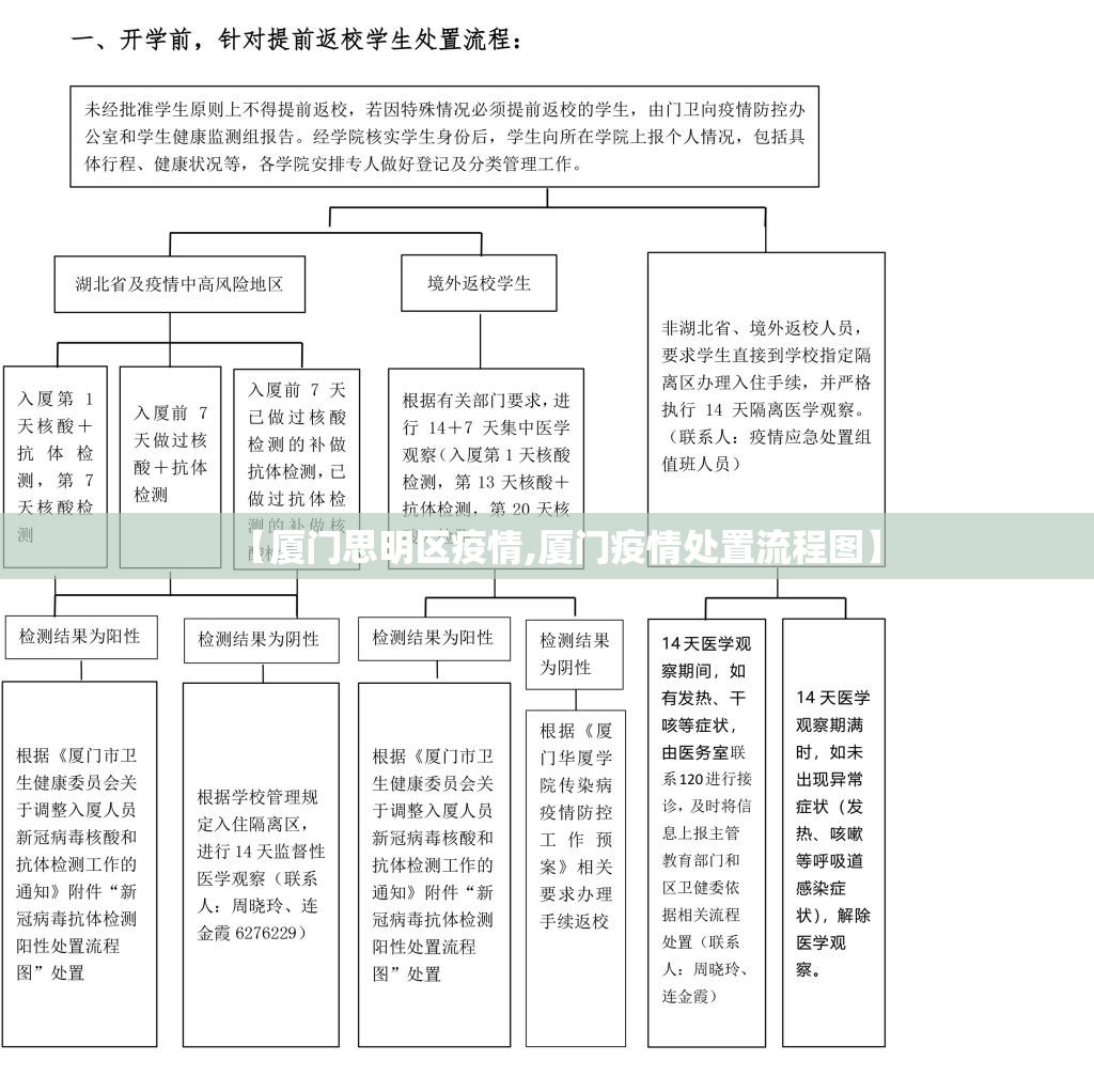 【厦门思明区疫情,厦门疫情处置流程图】