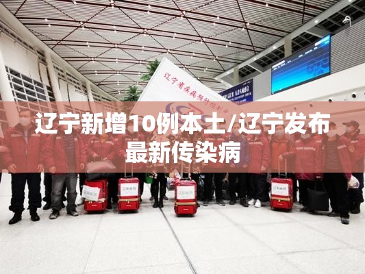 辽宁新增10例本土/辽宁发布最新传染病 辽宁新增10例本土/辽宁发布最新传染病