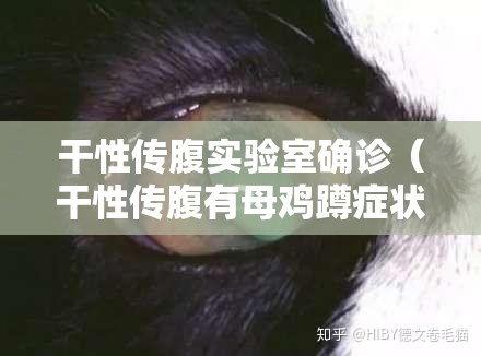 干性传腹实验室确诊（干性传腹有母鸡蹲症状吗）