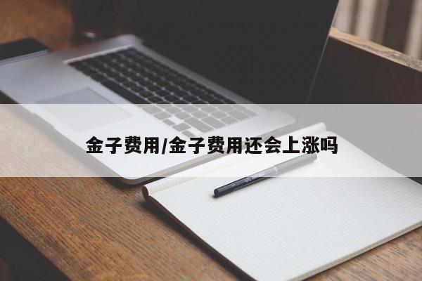 金子费用/金子费用还会上涨吗