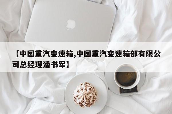 【中国重汽变速箱,中国重汽变速箱部有限公司总经理潘书军】