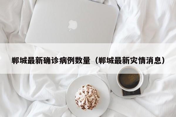郸城最新确诊病例数量（郸城最新灾情消息）